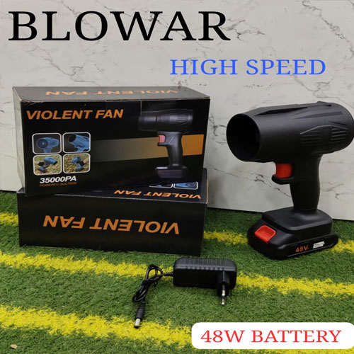 Violent Fan