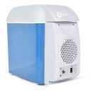 Mini Car Fridge